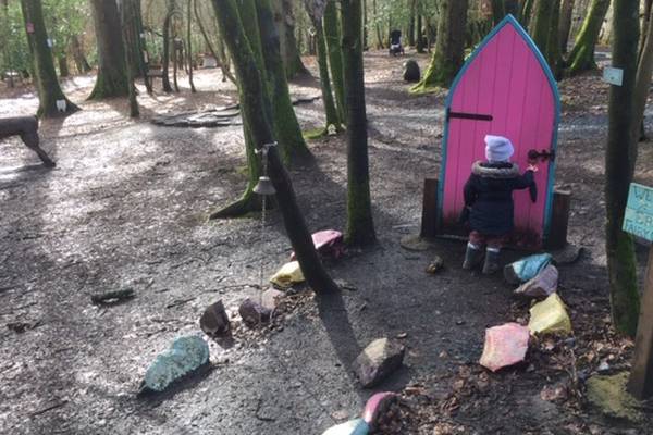 Erica’s Fairy Forest: A walk made for small feet and big imaginations