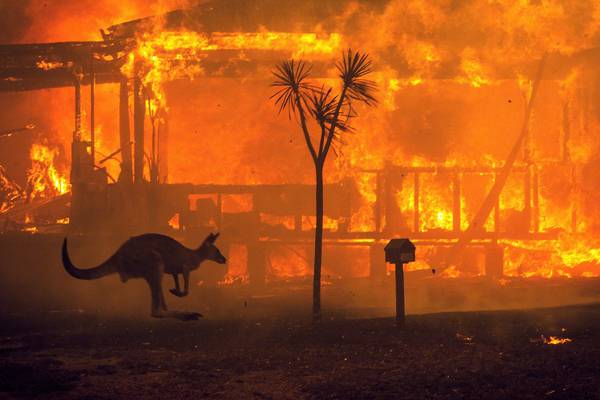 Matt Williams: Scale of the catastrophe in Australia is like nothing I have ever seen