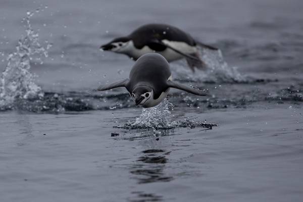 Antarctic temperature tops 20 degrees for first time on record