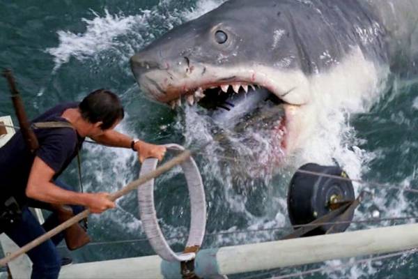 Jaws: One of the most gripping films out of Hollywood