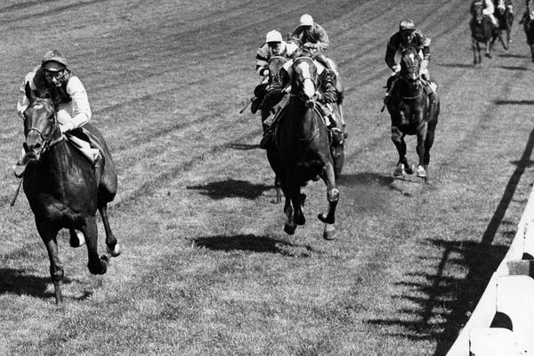 Worst Sporting Moment: Mighty Nijinsky misses moment of triumph