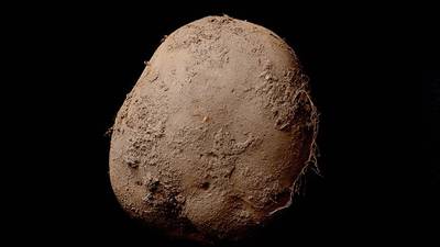 Irish photographer says he sold picture of potato for €1m
