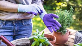 Good gardening gear: How to avoid damp bottoms and cold backs