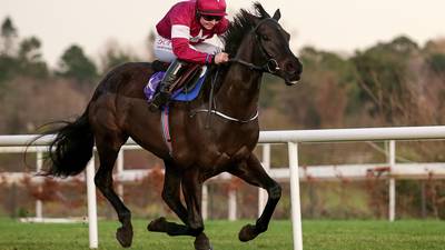 Eric Bloodaxe to further embellish his credentials in Limerick feature