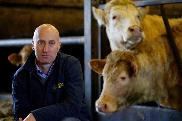 Irish farmers and their beef with no-deal Brexit tariffs