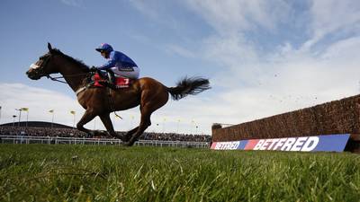 Classy Cue Card poised for glory again