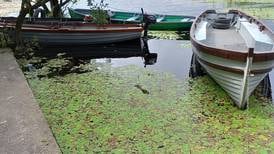 Warning over ‘high-impact’ invasive species on Killarney lakes