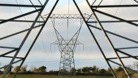 Health risks associated with pylons justify putting cables underground, meeting told