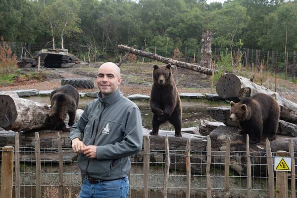 Bearman of Buncrana: not the odyssey into rural Ireland’s heart of weirdness we wanted