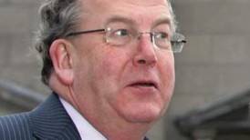 MEPs should not be ‘bad-mouthing’ Hogan , says FF Senator