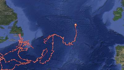 Great white shark tracked 1,200kms off Irish coast
