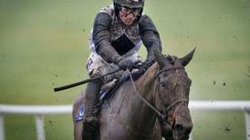 Dunguib looks another fairytale in the making for trainer Philip Fenton