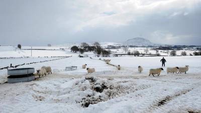 Northern farmers hit by snow and frost get £5m relief package