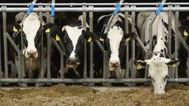 Cantillon: Dairy industry split on curbing supply
