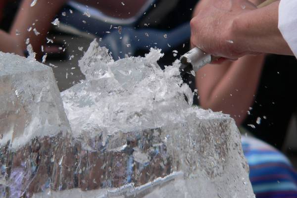 ‘Dolphin ice sculpture’ part of €13,000 spend on Cork IT chief’s departure