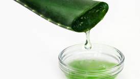 Naturally . . . Why an aloe vera plant is a beauty essential
