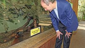 Close call for Taoiseach as Dublin Zoo welcomes visitors