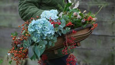 Take a leaf from this new crop of gardening books