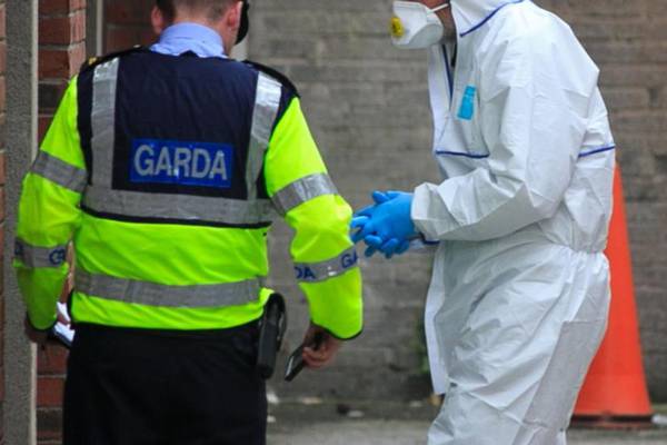 Female jogger killed in attack in Co Offaly