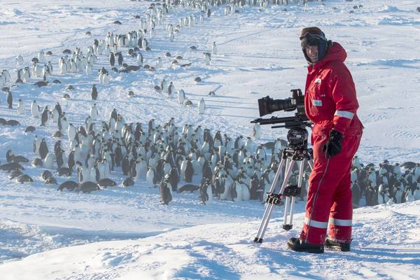 Penguin intervention on Attenborough show defended by top film-makers