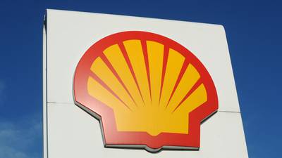 Cutting oil and gas production is ‘not healthy’, says Shell’s new chief