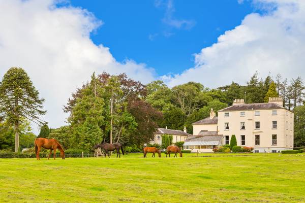 Hold your horses at the contents of Rocklow Estate in Tipperary