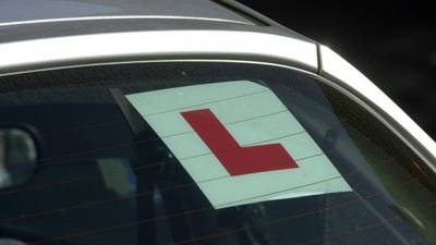 High Court upholds refusal of learner driver's permit for asylum seekers