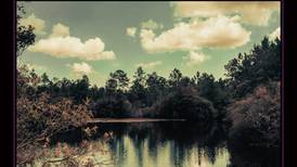 Mercury Rev: Bobbie Gentry’s The Delta Sweete Revisited review – Celebration of artistic bravery