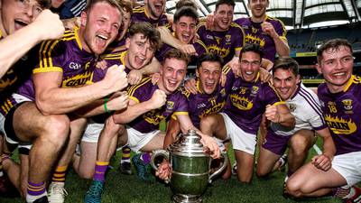 Wexford lauds Davy Fitzgerald after historic Leinster double