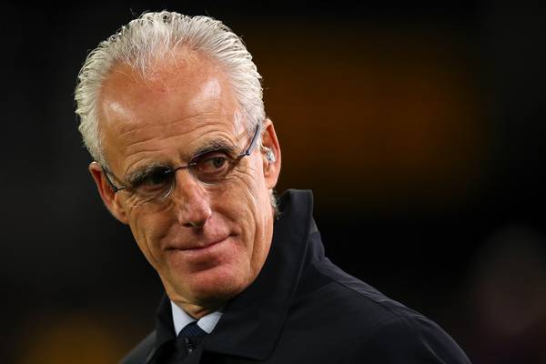 Mick McCarthy appointed Cardiff City manager