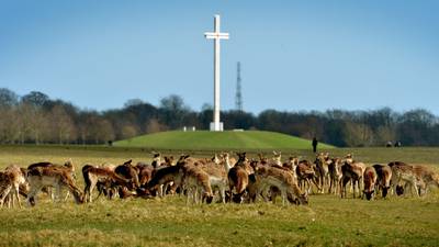 The Phoenix Park – protect and conserve: The Irish Times view