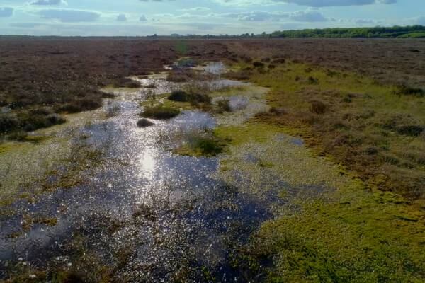 Local communities critical to restoring Ireland’s vast peatlands, academic says