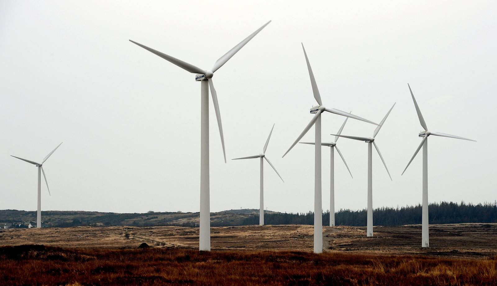 23/03/2013 - Archive - stock - General View - GV  -  General Windfarm photographs taken at The Lough Derryduff windfarm near Glenties in Co. Donegal.
Photo: David Sleator/THE IRISH TIMES