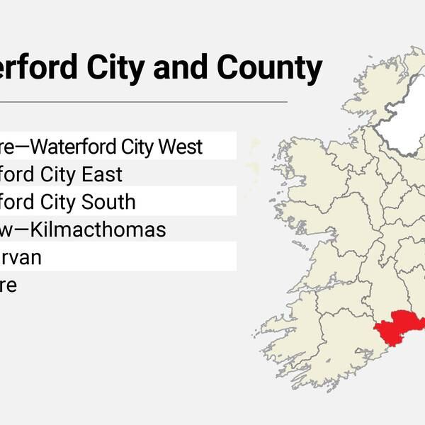 Local Elections: Waterford City and County Council