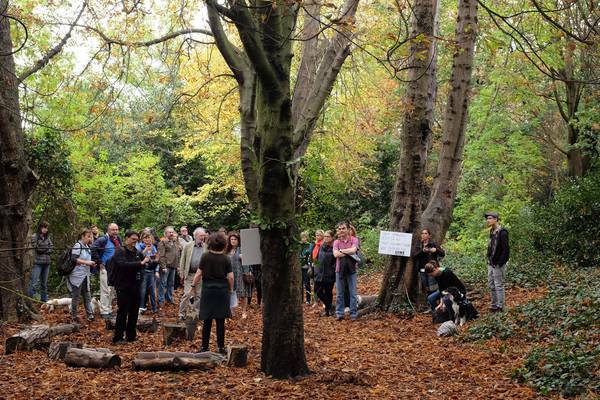 The battle for the future of the Iveagh Gardens