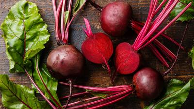 Beautiful beetroot: where to find it and how to cook it