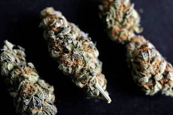 Herbal cannabis worth almost €0.5m seized in Dublin
