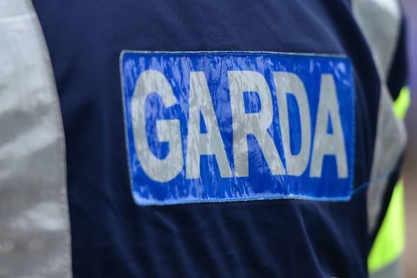 Government urged to open up all Garda jobs to foreign officers