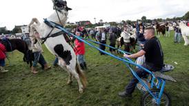 Move to ban ‘sulky’ racing on Irish roads