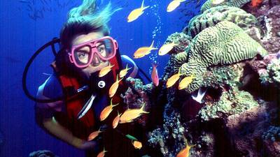 Unesco to Australia: do more to save the Great Barrier Reef