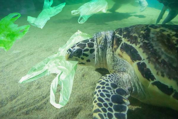 Nearly all countries agree deal to reduce plastic waste