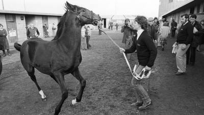 The Times We Lived In: Son of Shergar’s coltish vulnerability