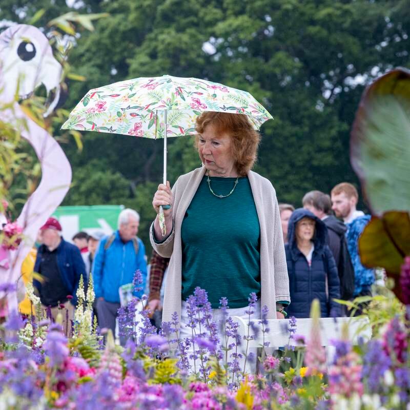 Bloom 2023: The best show gardens, floral displays and expert advice at this year’s festival