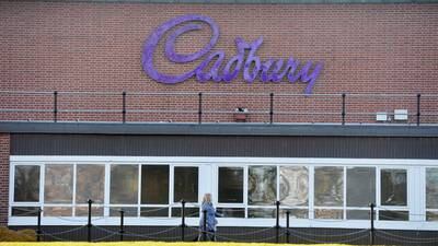 Cadbury site apartments refused over Brent goose concerns 