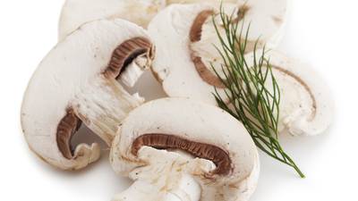 Button mushrooms: Uncommonly good with hazelnuts and cider