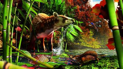 Littlest hedgehog fossil found in British Columbia