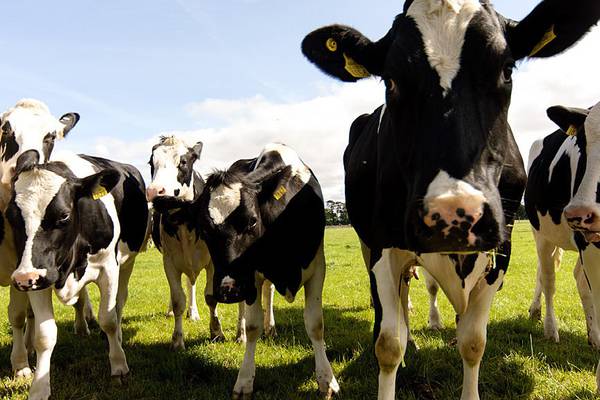 The Irish Times view on: Climate change and farming