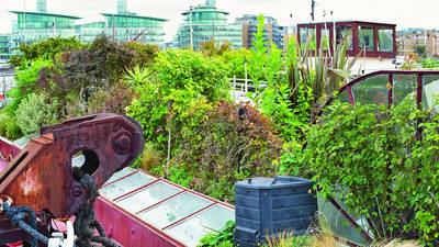 Gardens: Big plans to grow food in small spaces