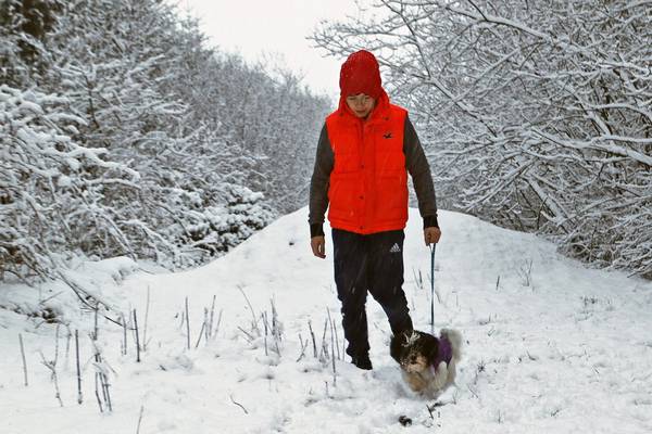 Milder weather to return at weekend after cold snap hits country