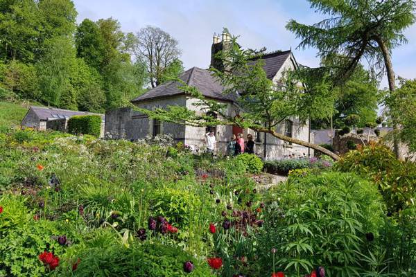 Six amazing gardens to visit in Co Wicklow this summer